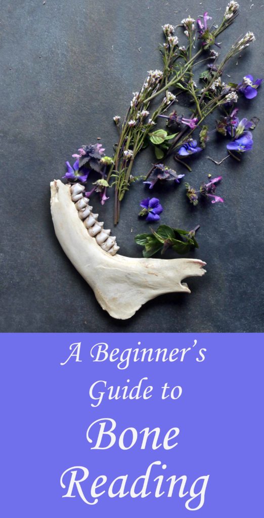 A magical guide to the ancient art of bone reading and divination.