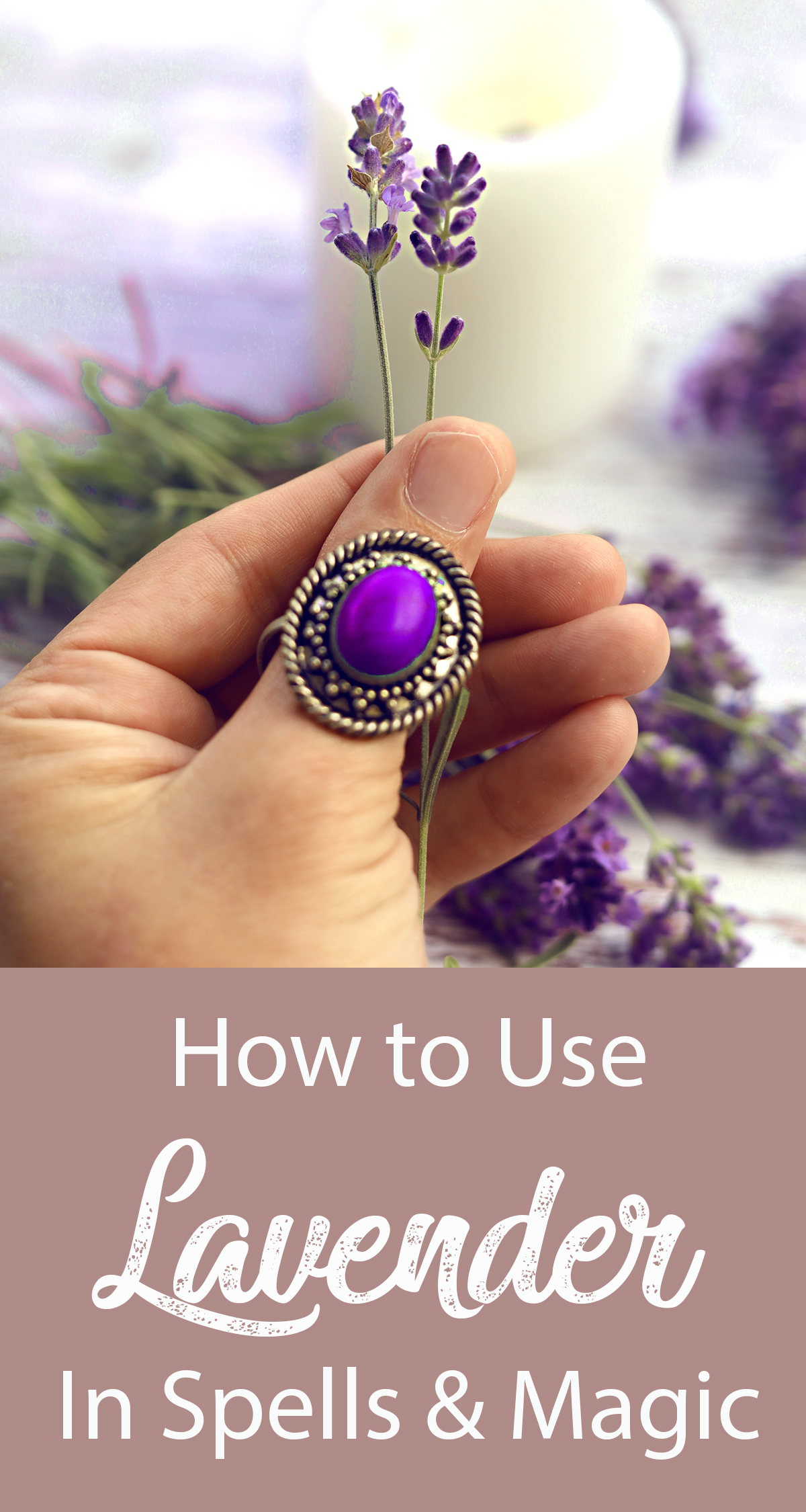 10 Ways to Use Lavender in Spells, Magic and Witchcraft