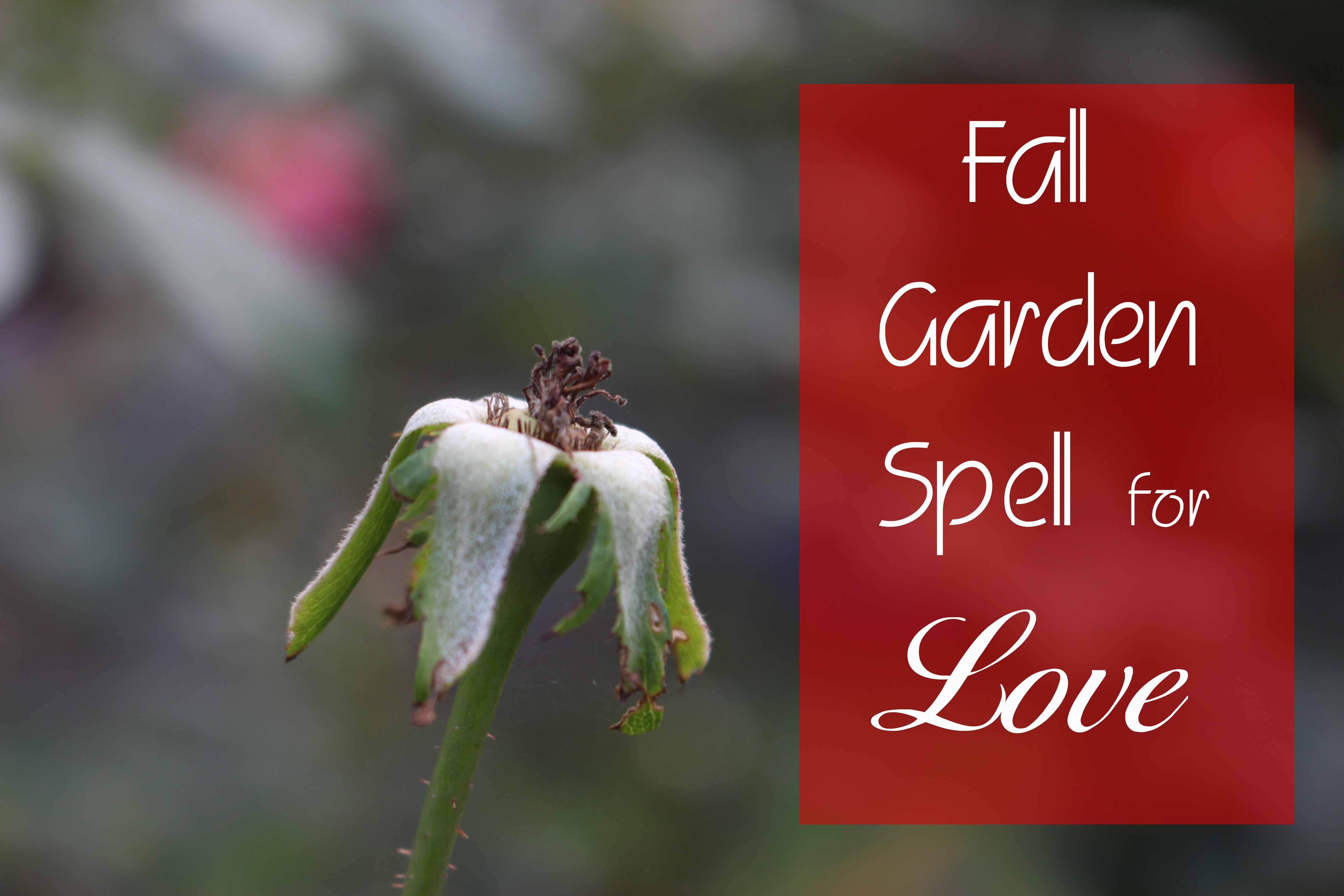 fall-garden-spell-for-love-banner