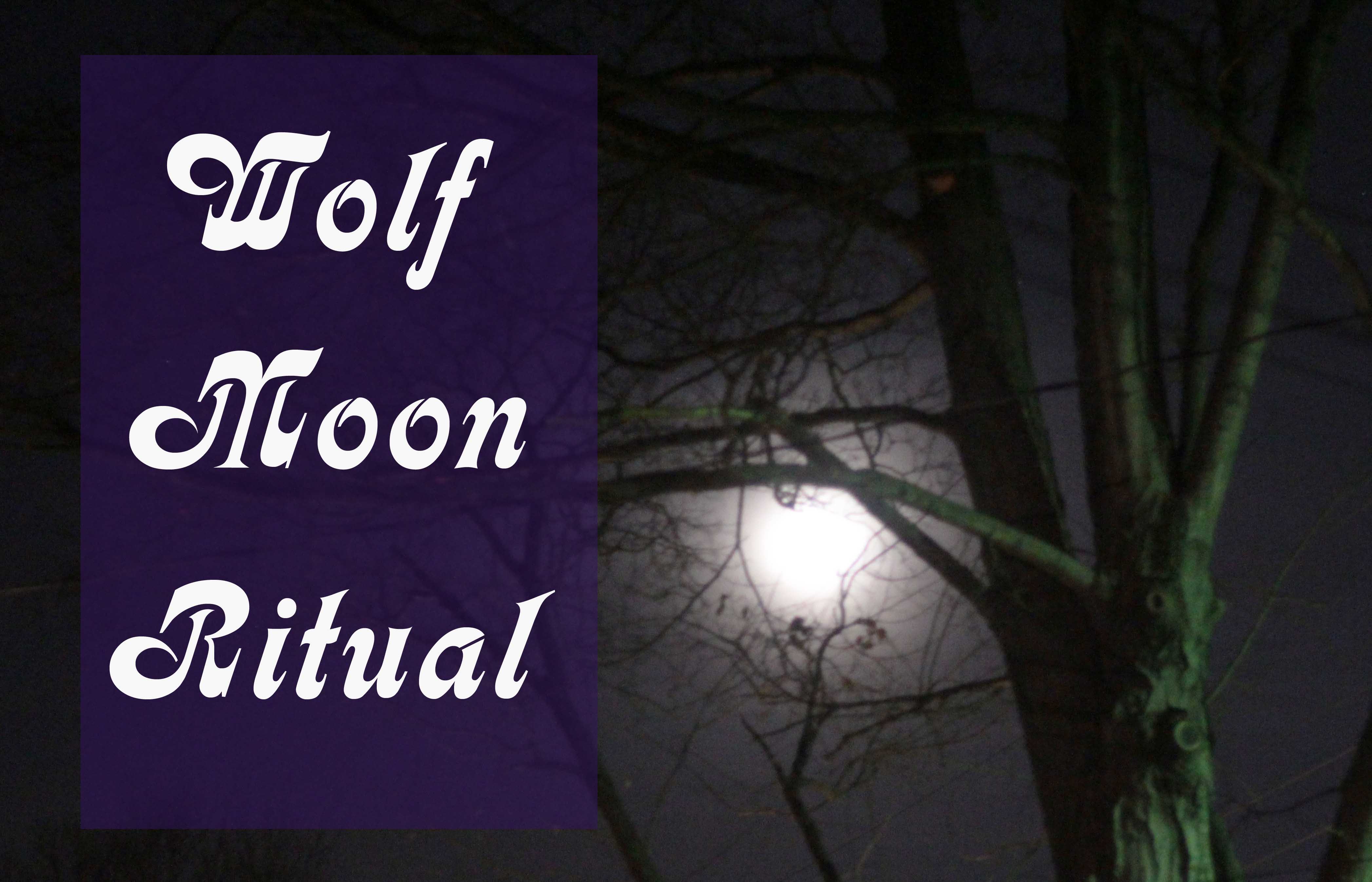 Wolf Moon Ritual Moody Moons