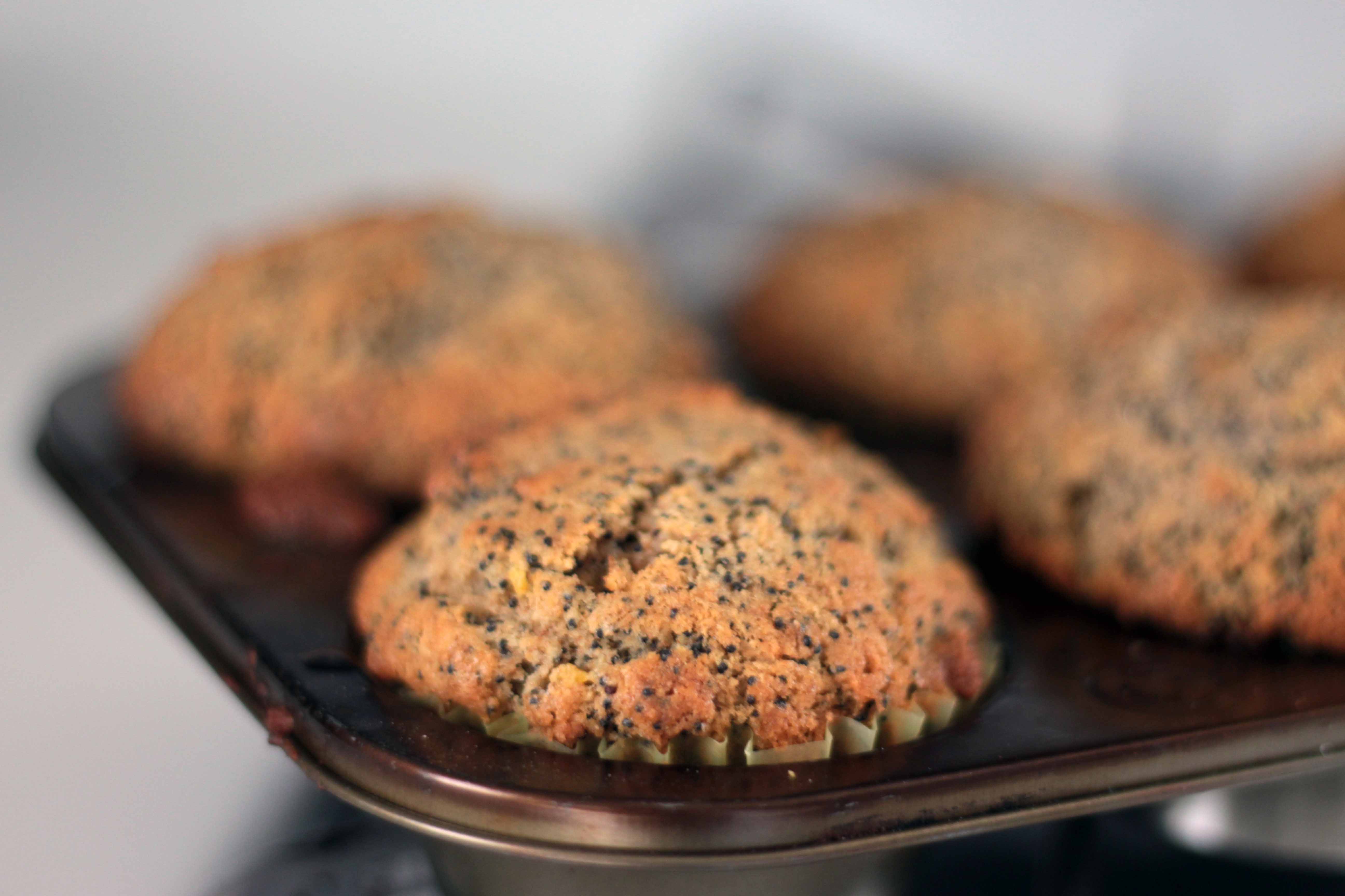 cooked-poppy-seed-cupcakes-wenb