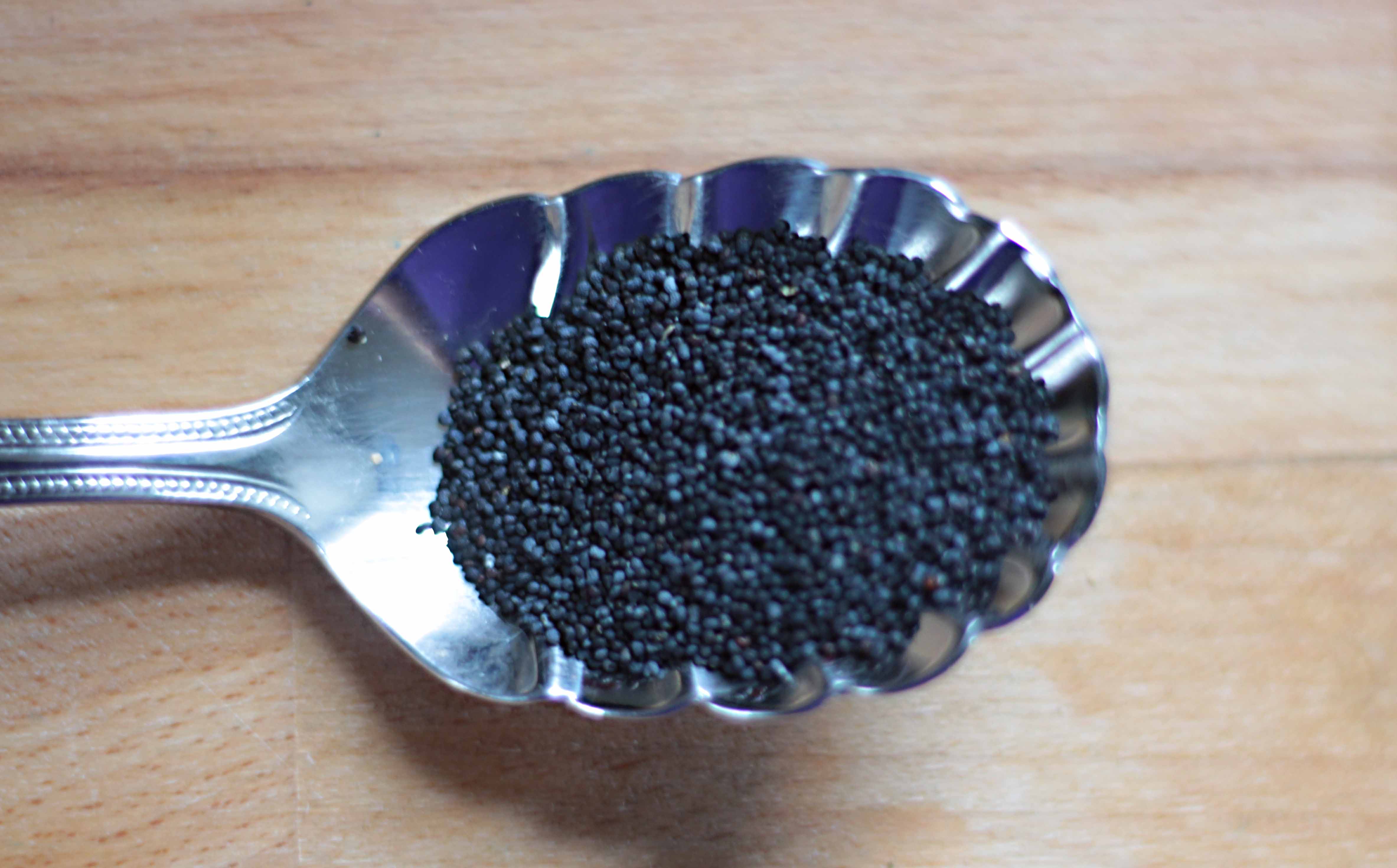 poppy-seeds-in-spoon-web