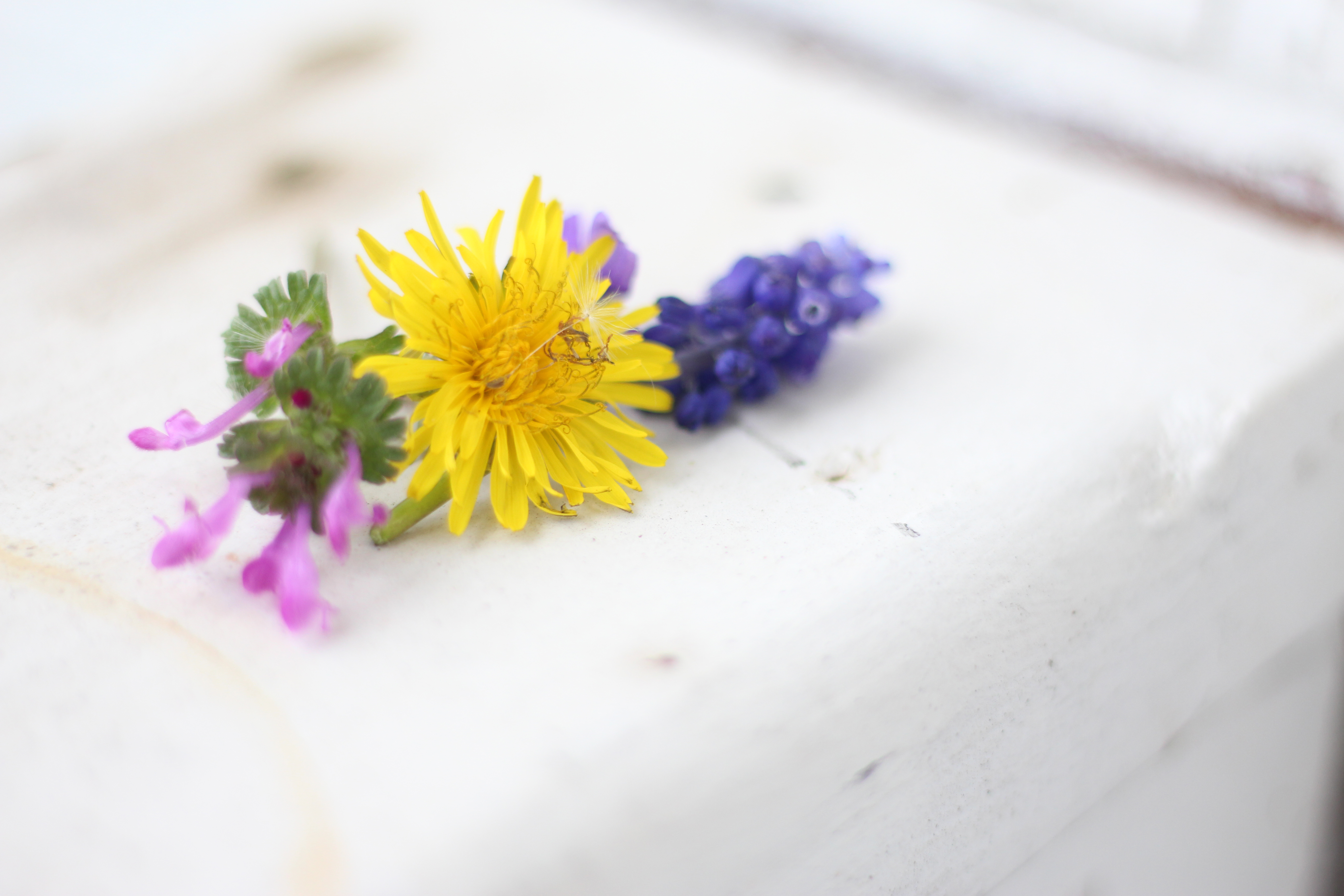 wildflower bouquet