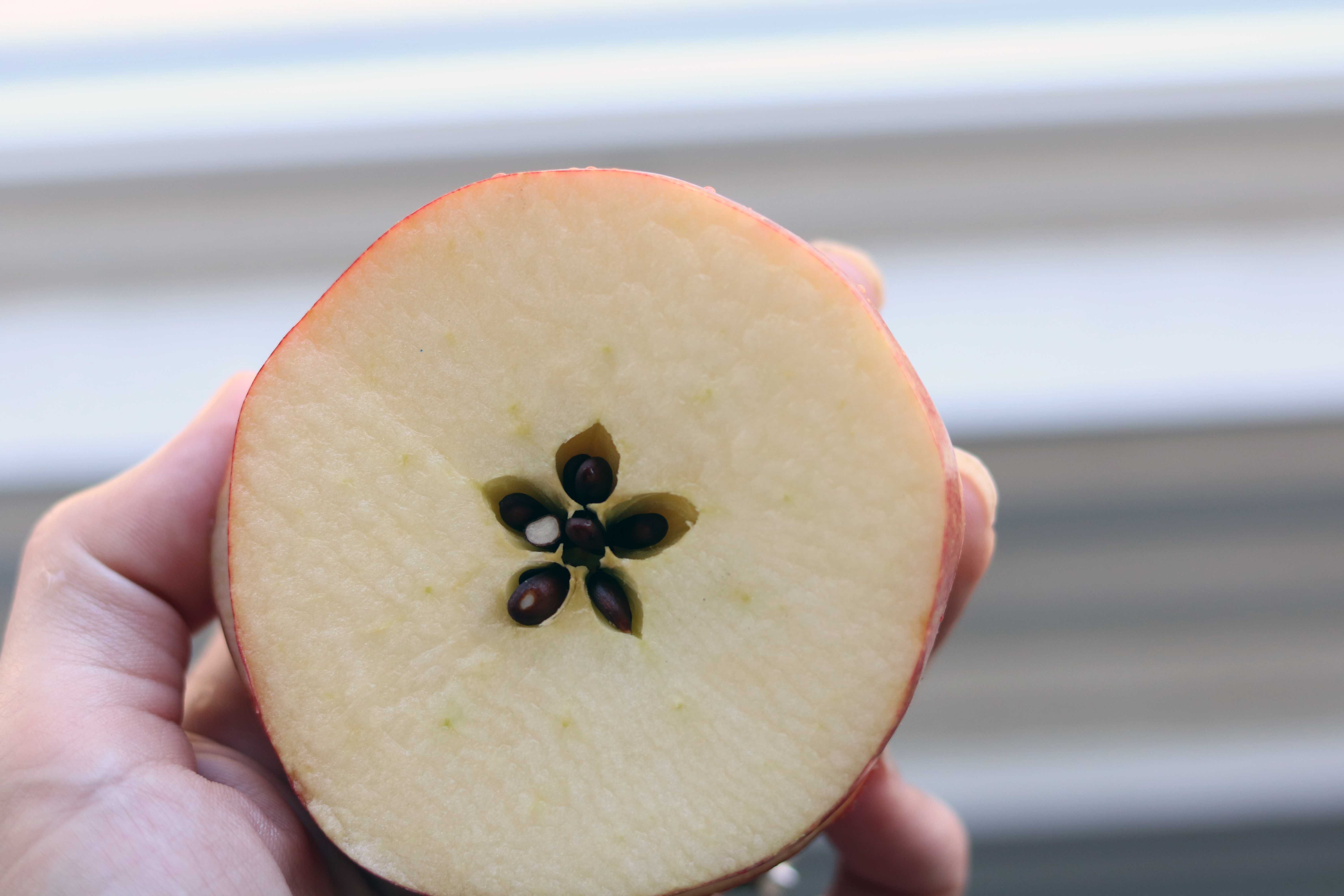 pentacle in apple