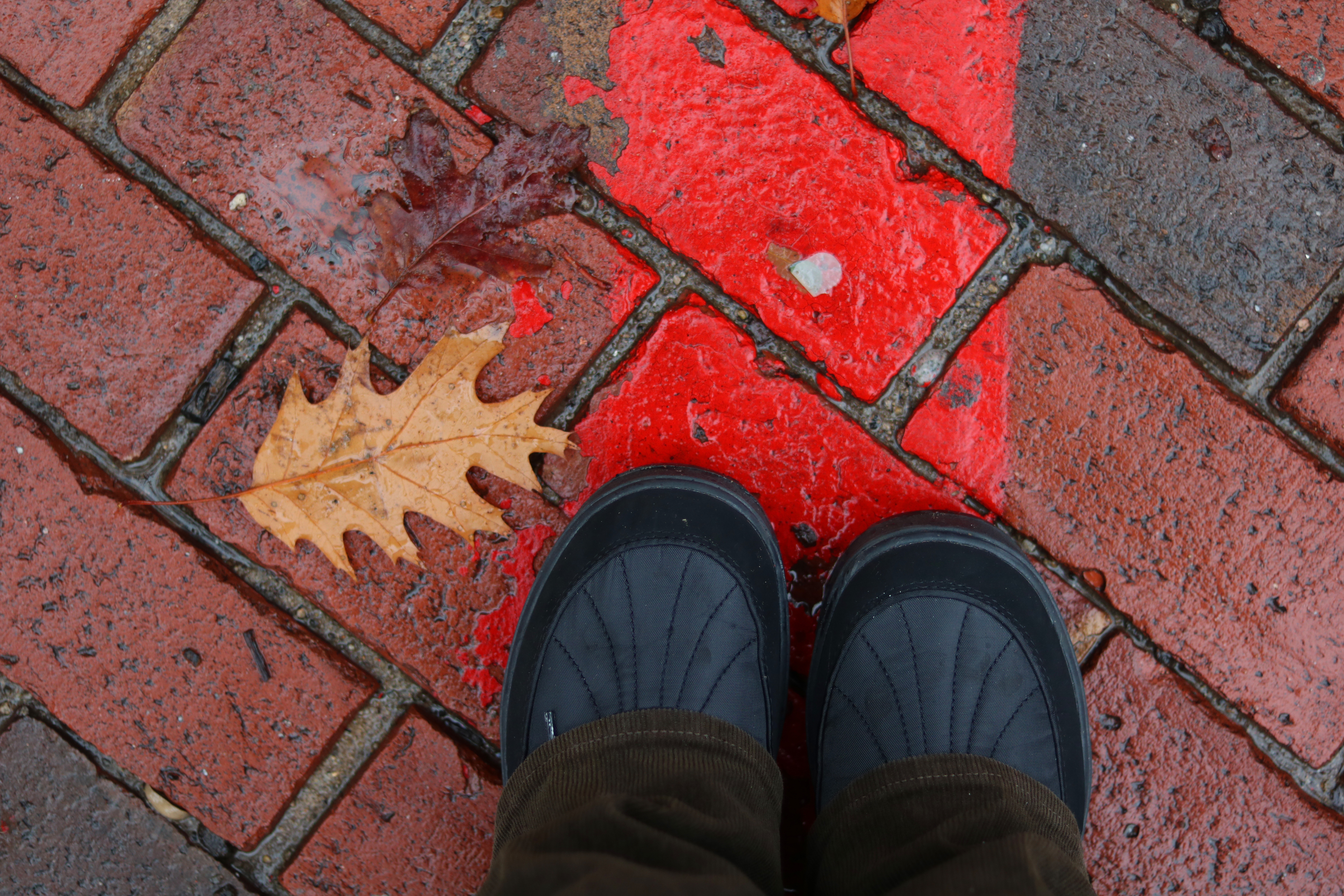 salem, massachusettes red line web