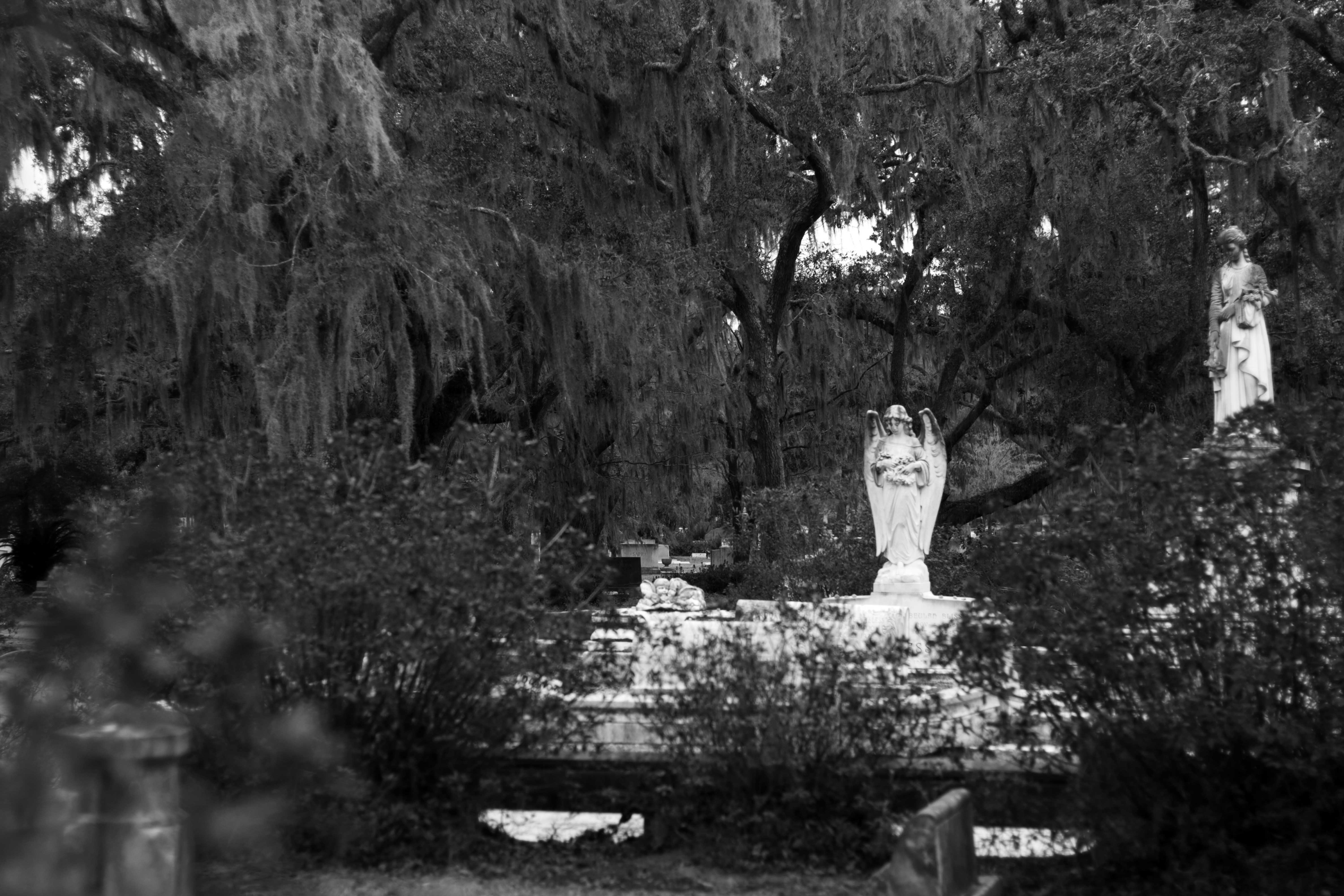 Bonaventure Cemetery