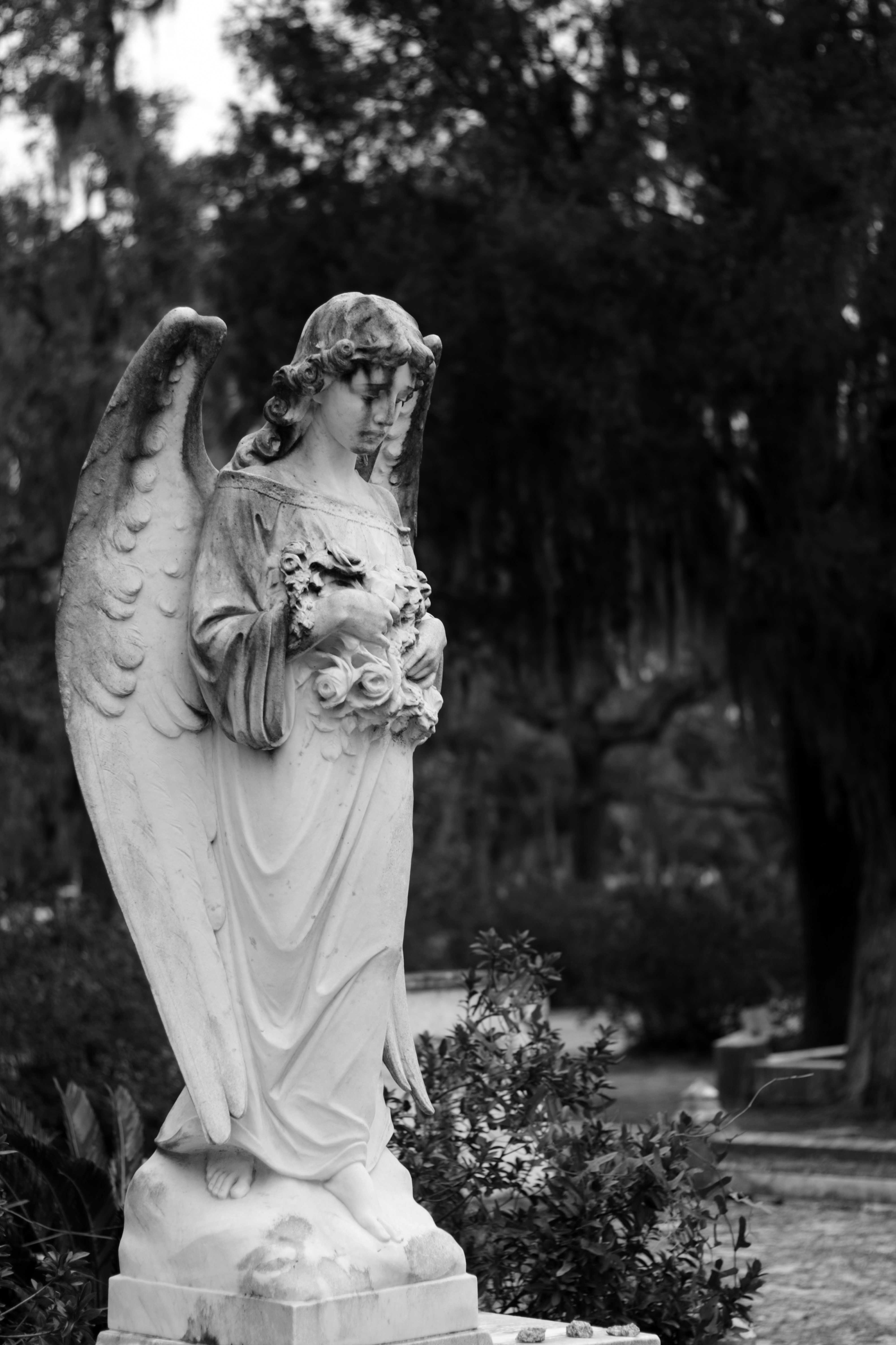 Bonaventure Cemetery