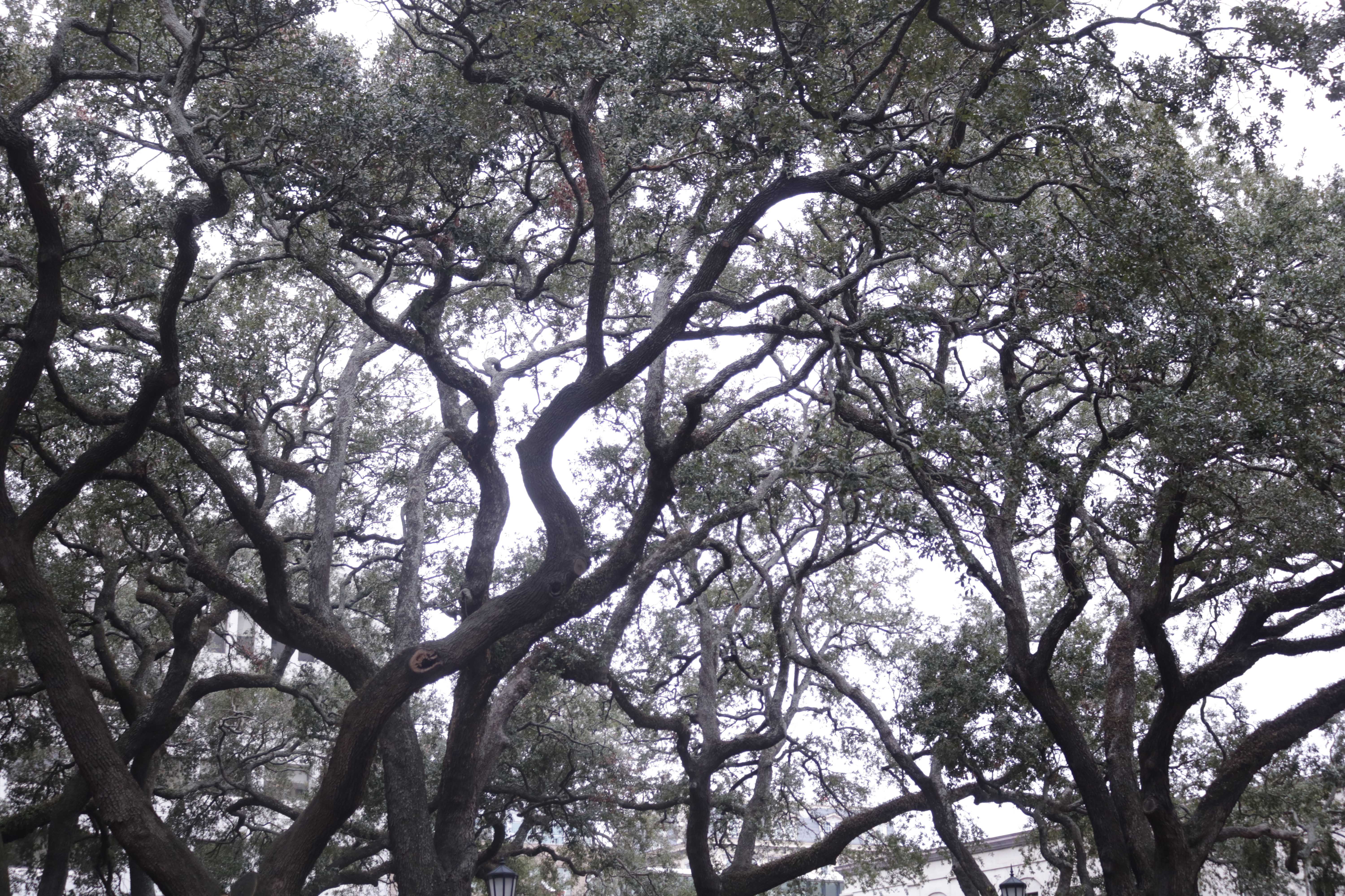 Johnson Square, Savannah, GA