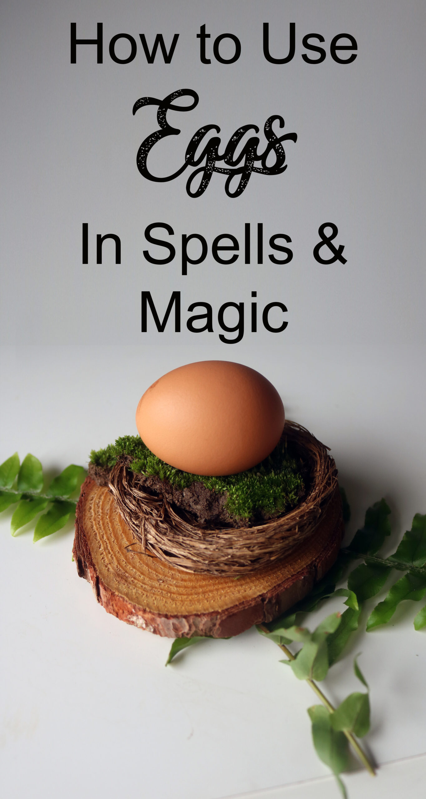 Put those farm-fresh spring eggs to good magical use! Here's 10 ways to incorporate eggs into spells & witchcraft.