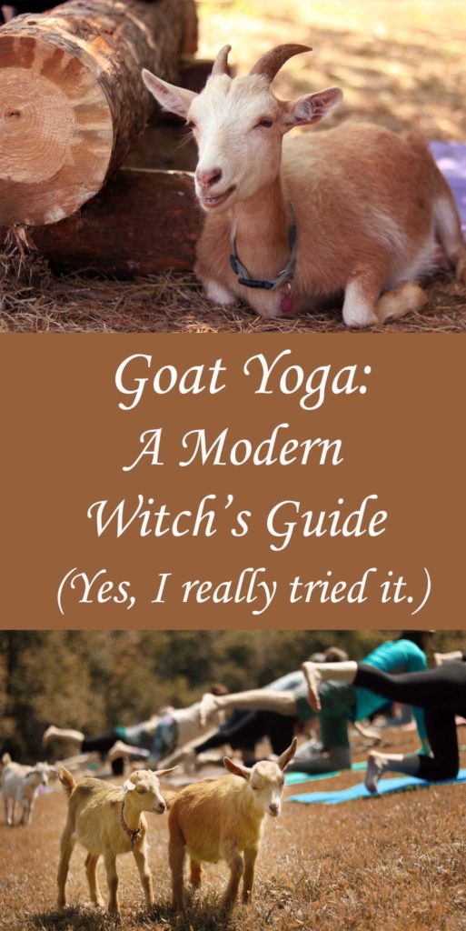 Goat Yoga: A Modern Witch's Guide to Alternative Health