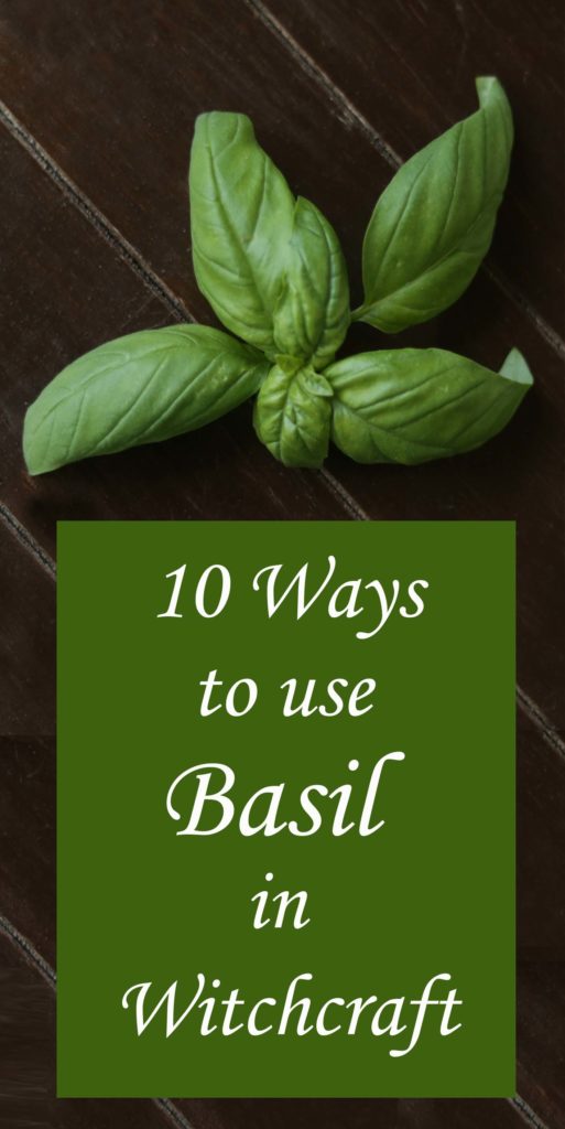 10 Ways to Use Basil in Witchcraft, Spells and Magick