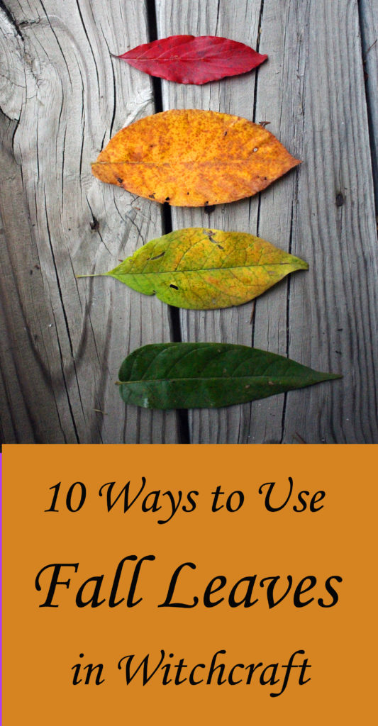 How to use fall leaves in witchcraft and magic spells, paganism, ritual..