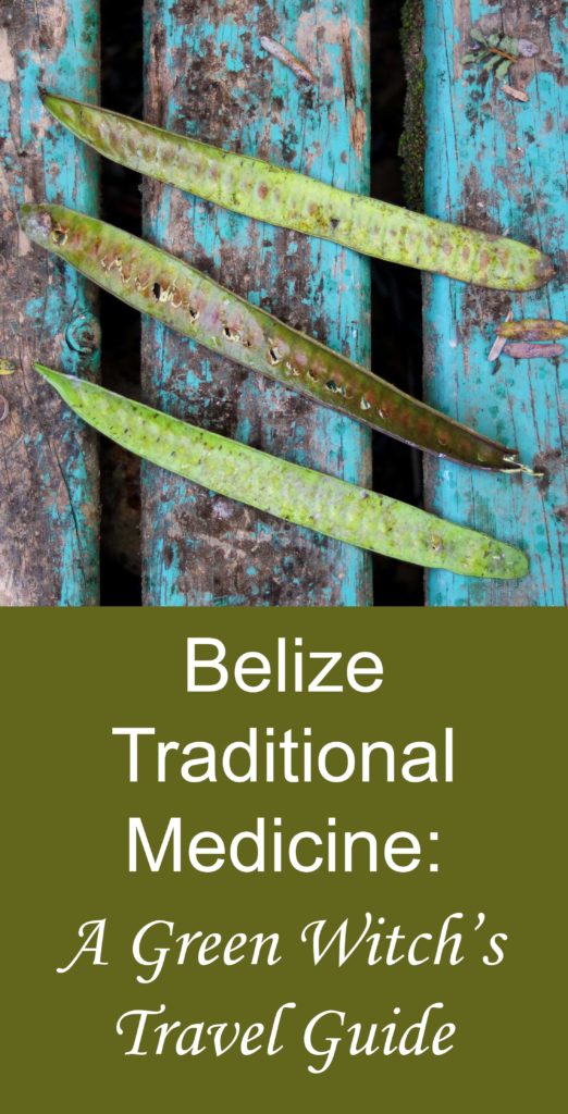 A guide to exploring Belizian traditional medicine on your trip to the Yucatan peninsula.