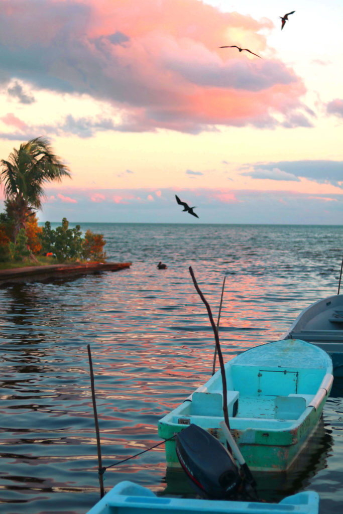 Belize Traditional Medicine & Folklore: A Modern Witch's Travel Guide