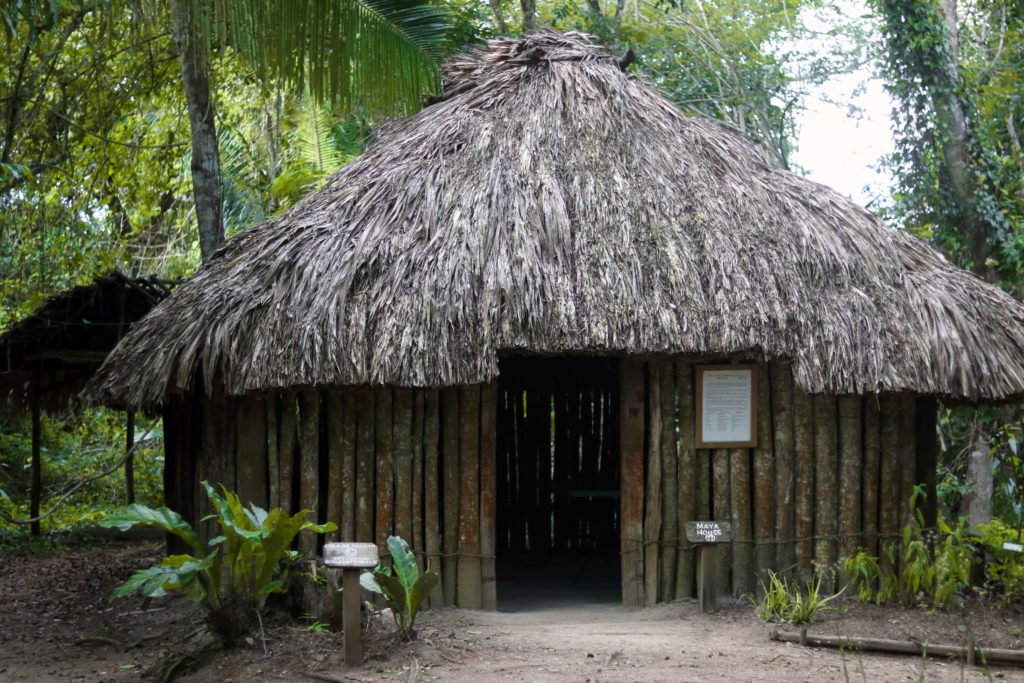 Belize botanical gardens: a travel guide for the herbalist.