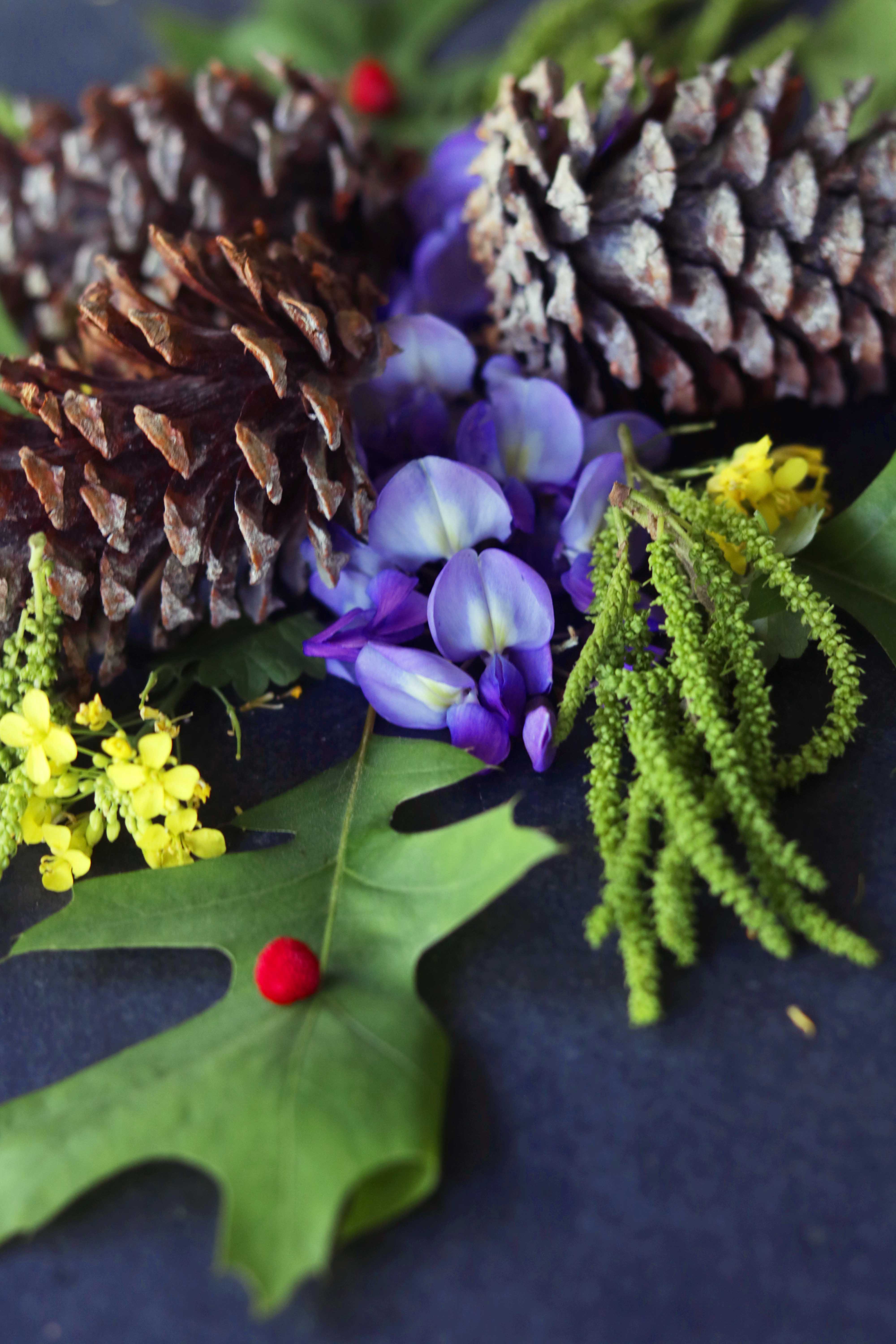 A simple, easy guide to foraging plants, weeds and stones in your backyard for witchcraft, spells and magic.