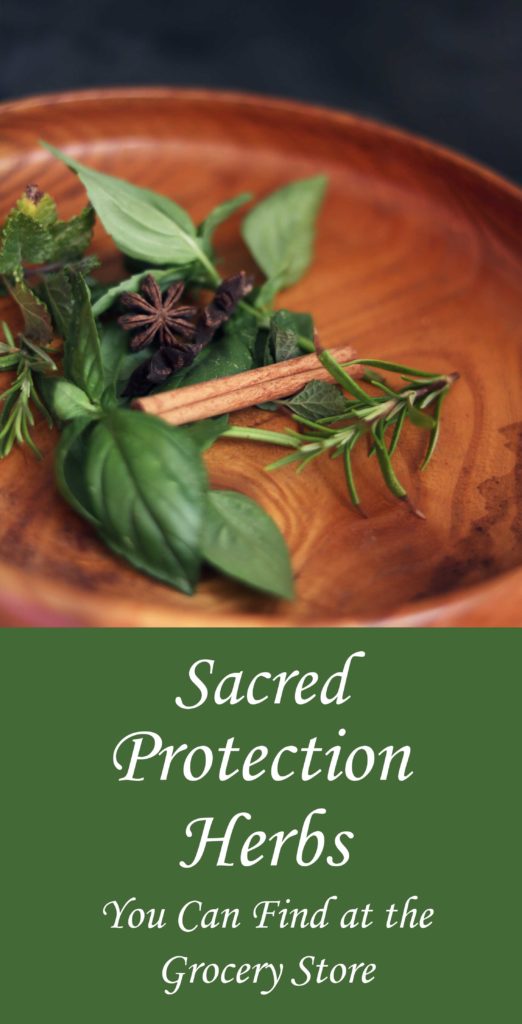 9 protection herbs to keep on hand in your magical cabinet.