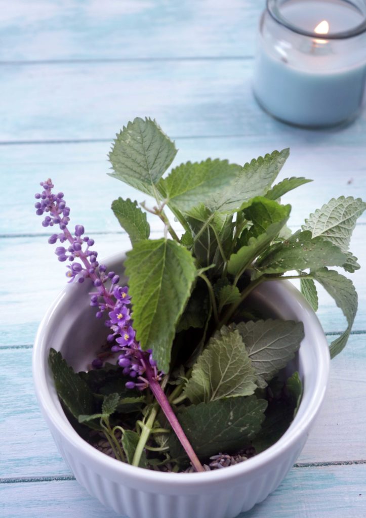 Lemon balm and purple flowers.