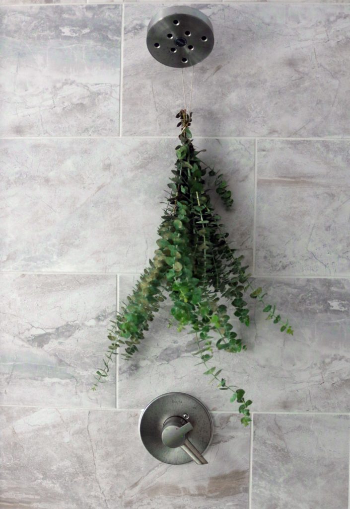 Hang a bouquet of eucalyptus at the base of your shower head for a refresh herbal shower ritual.