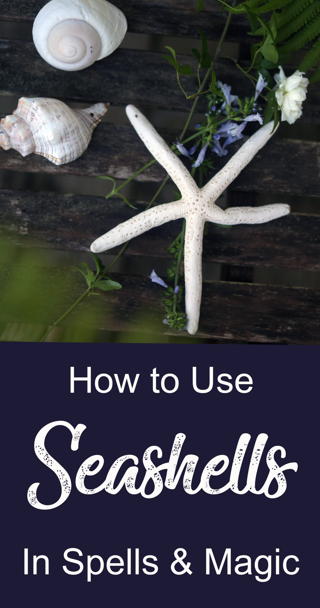 How to Use Seashells in your spellcraft and magical practice.