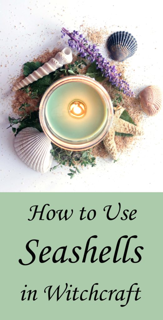 How to use seashells in witchcraft. Love all of these!