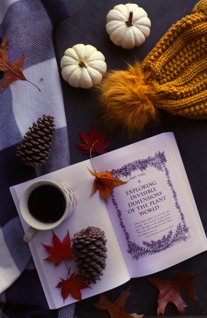 Witchy fall reading guide. Check out these 13 fall-themed witchcraft books and get ready to curl up by the fire for a long afternoon in your pajamas.