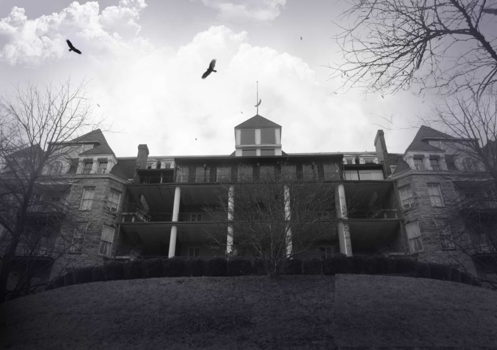 Composite image of the vultures that fly over the Crescent Inn in Eureka Springs, Arkansas.