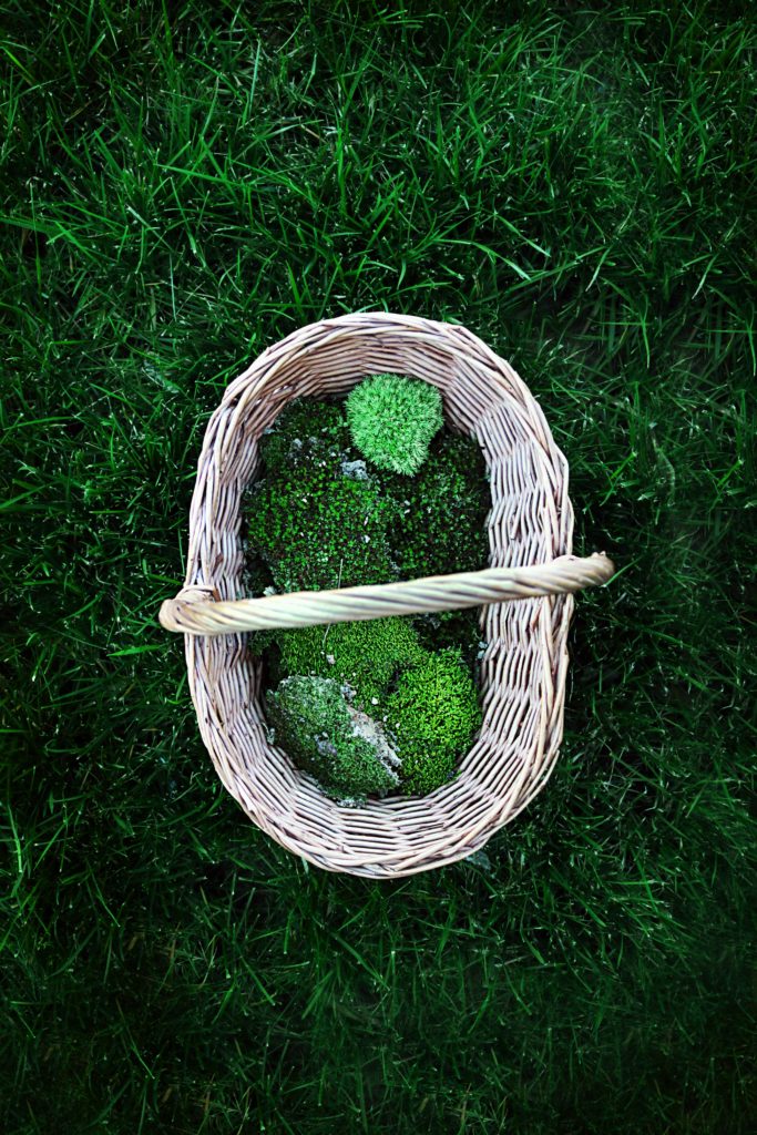 Line spring gift baskets with hand-gathered natural moss instead of the fake plastic stuff.