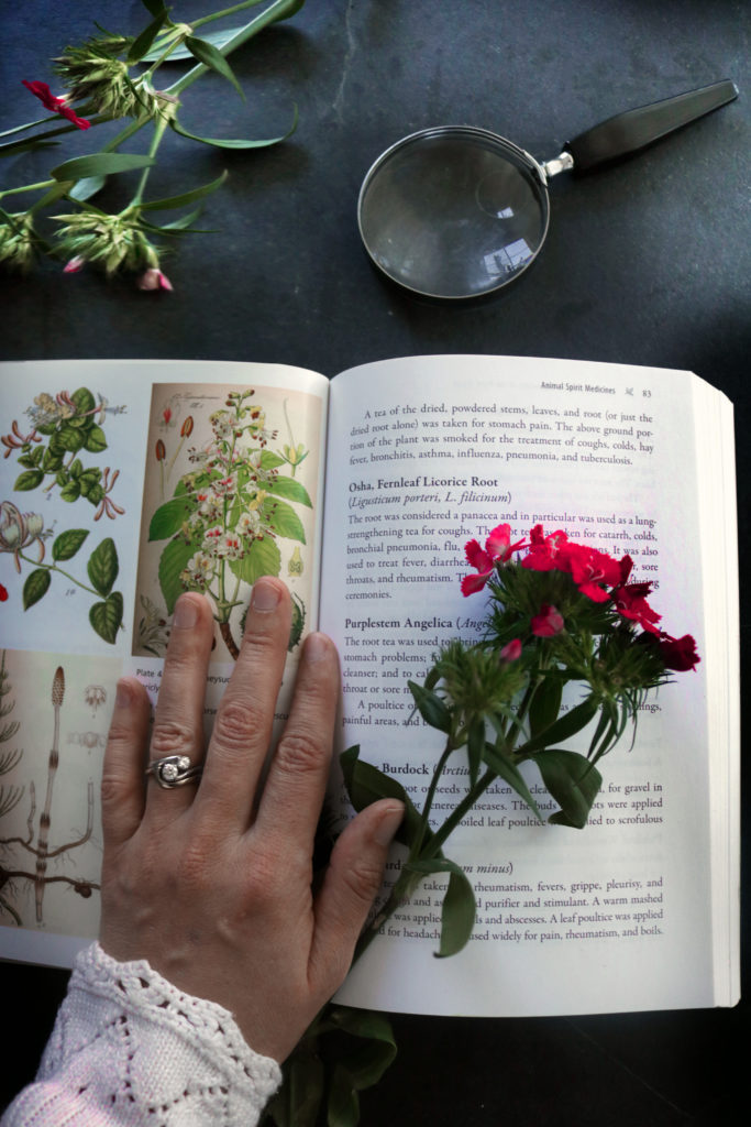 Foraging wildflowers for witchcraft.