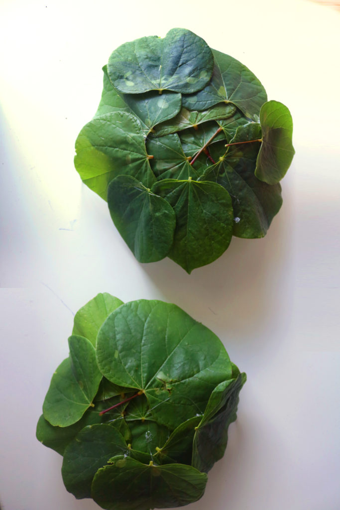 How to make leaf bowls for a candle float.