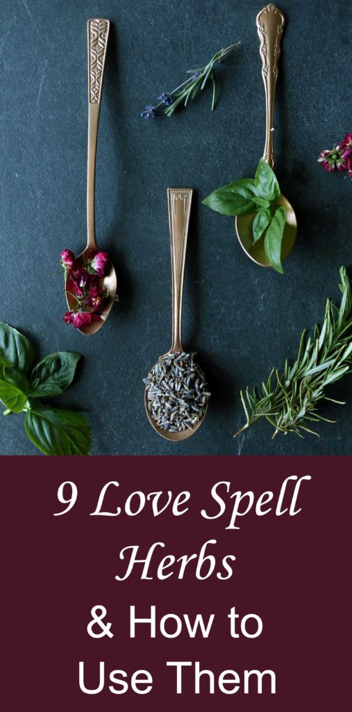 9 alluring love spell herbs to try and how to use them.