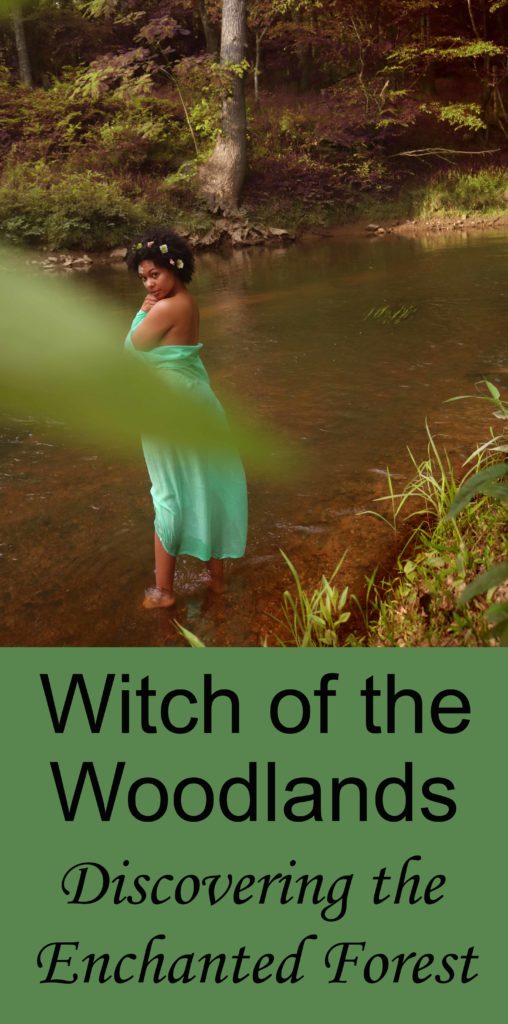 Witch of the Woodlands: Discovering the Enchanted Forest