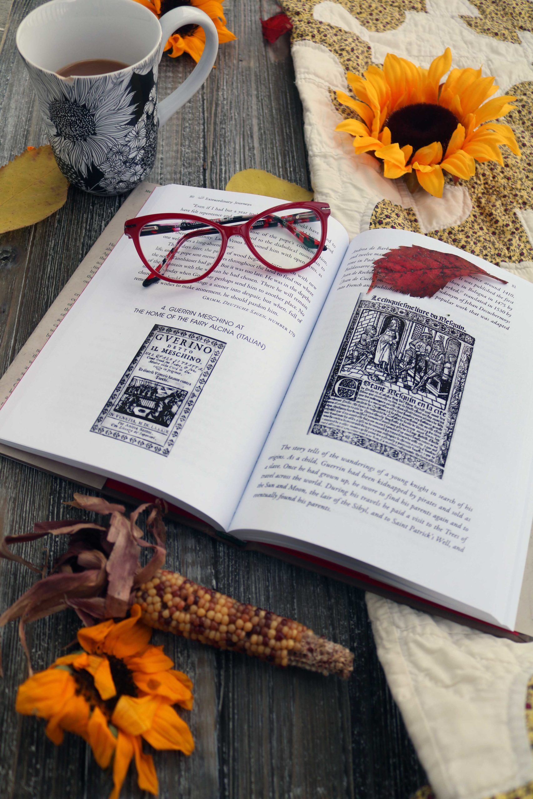 Stay up-to-date on the latest in witchy publishing with Moody Moon's 2020 Fall Reading Guide.