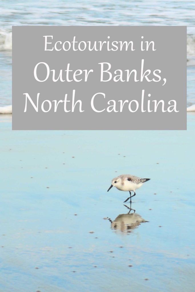 Ecotourism and the earth-friendly vacation experience in Outer Banks, North Carolina.