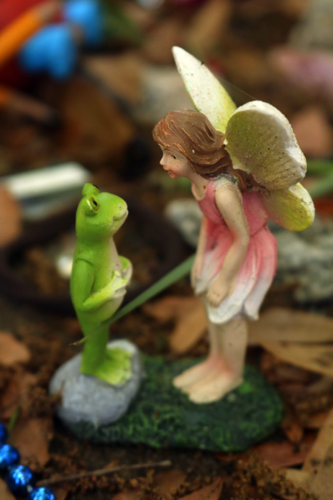 Fairy garden.