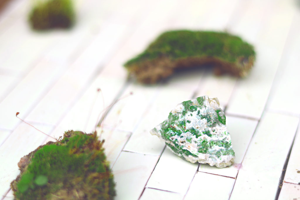 9 Ways to Use Moss Agate in Witchcraft - Moody Moons