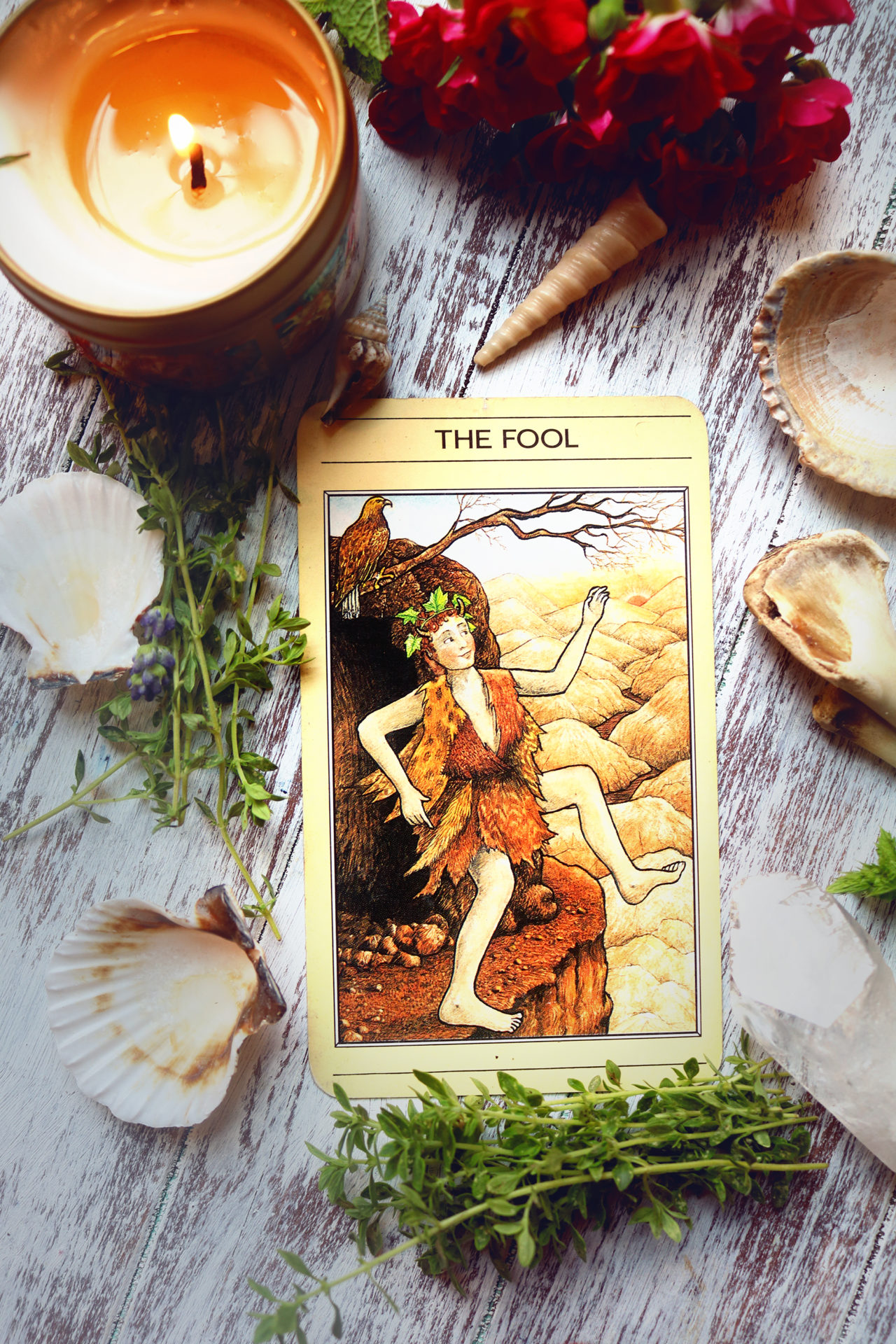 Get your tarot reading certification and start reading professionally. Here's how.