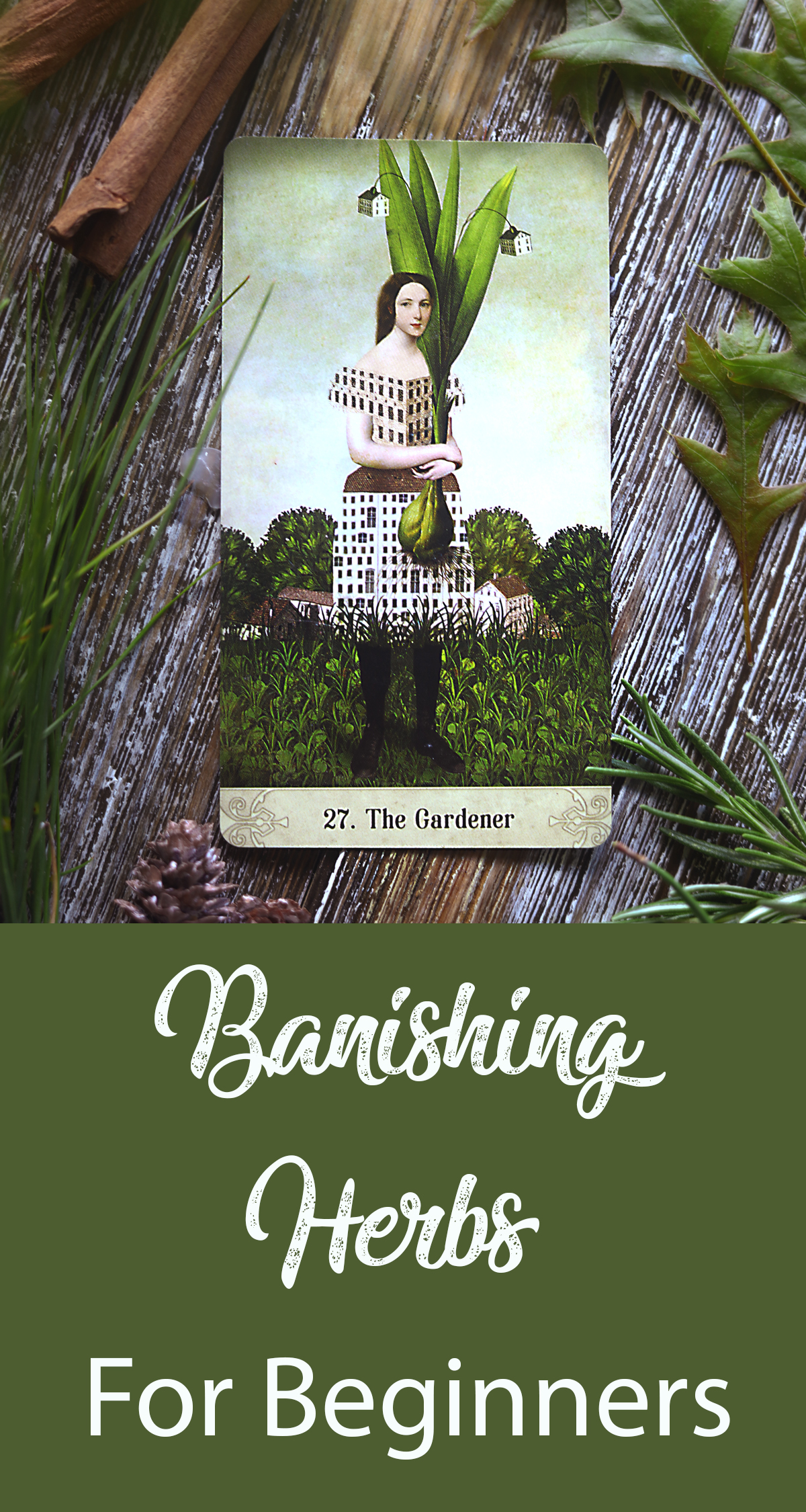 Learn the basics of banishing herbs! There's no need to get fancy. Many banishing herbs are easily foraged or purchased at the grocery store.