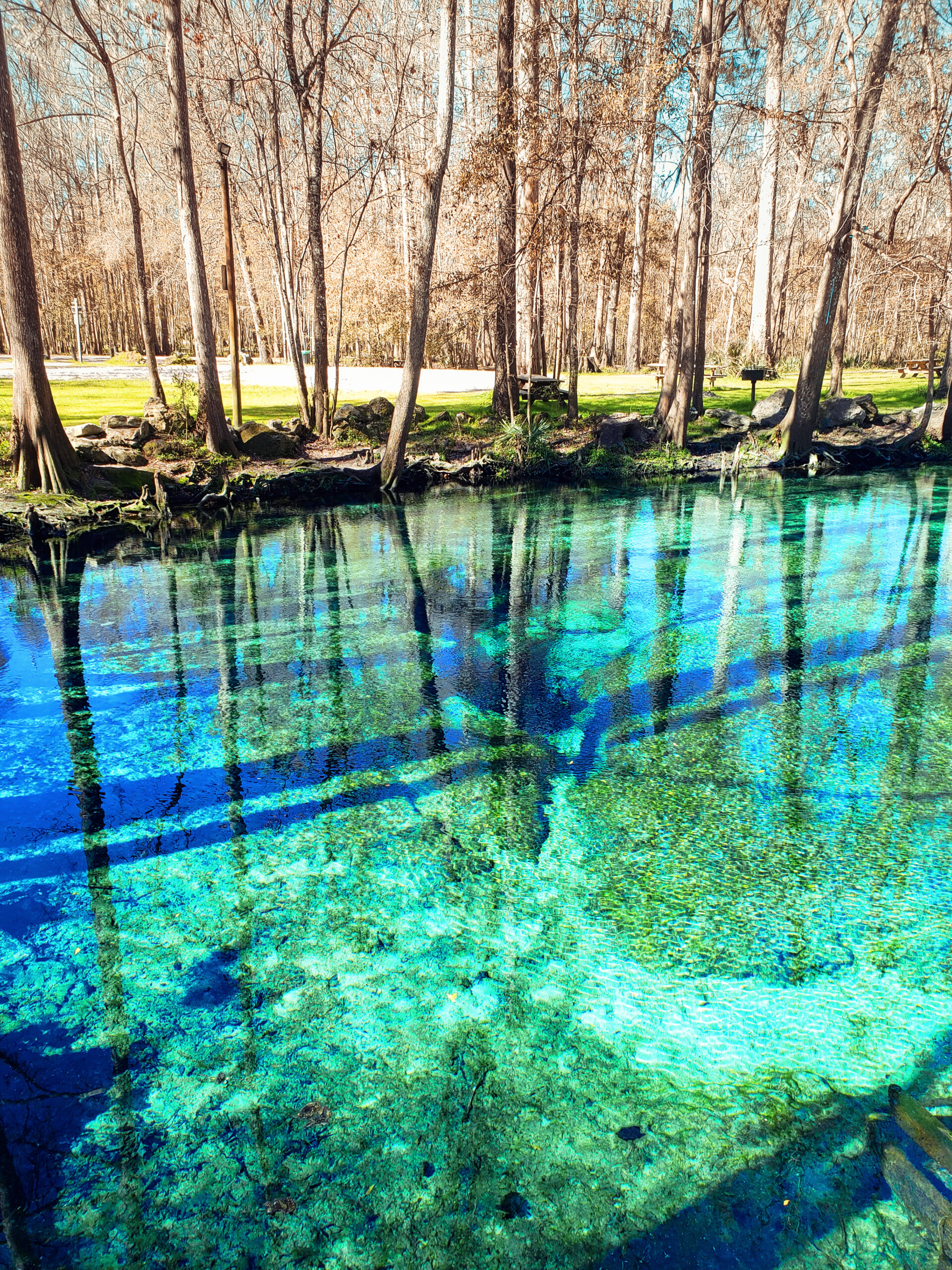 The mysticism and magic of Florida's natural springs.