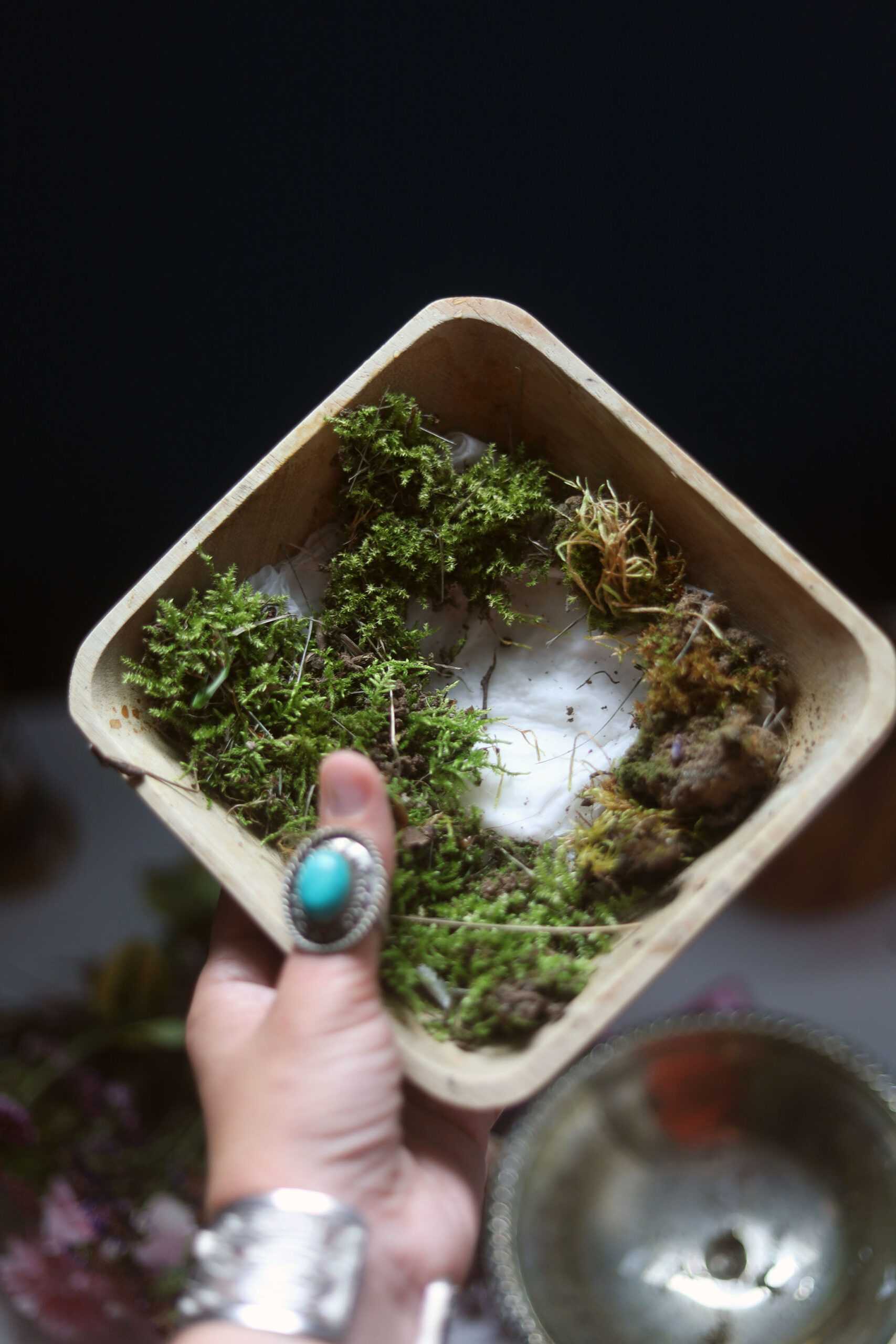 Moss on wet paper towel as a candle base.